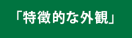 「特徴的な外観」